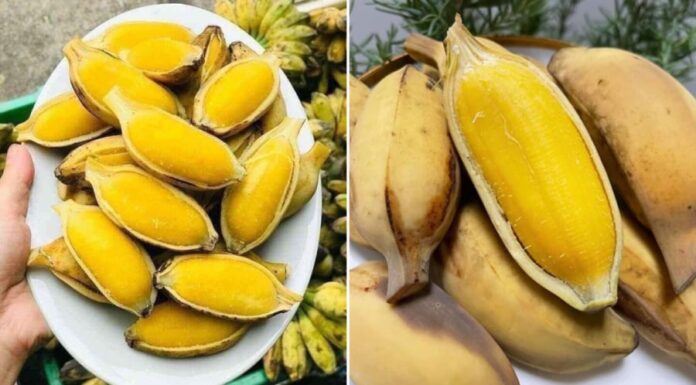 6 Amazing Benefits of Eating a Boiled Banana Every Day