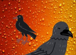 “Helpless Frustration: Parents Turn to the Law of the Crow to Tackle Misbehaving Children”