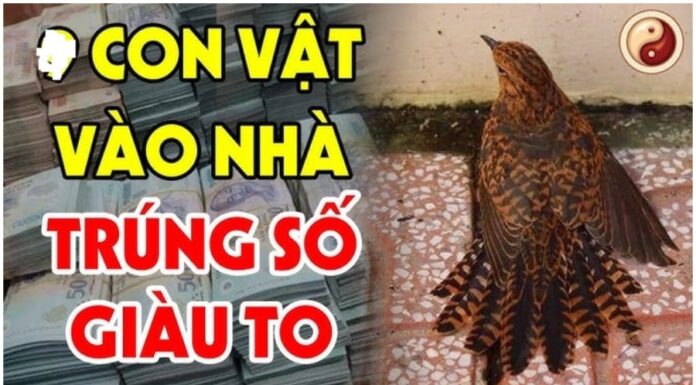 4 Lucky Animals That Bring Wealth and Prosperity: Win Big and Live the Dream