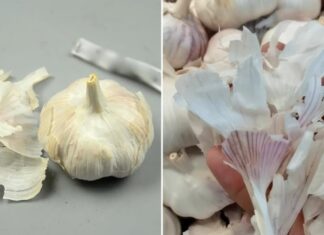 The Surprising Power of Garlic Peels: 4 Benefits for Men and Women Alike