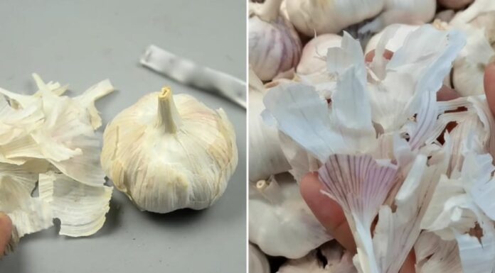 The Surprising Power of Garlic Peels: 4 Benefits for Men and Women Alike