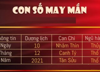 Is Your Marriage Written in the Stars? Uncover the Secrets of Your Wedding Date.