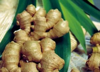 “Unlock Youthful Skin: A Kitchen Spice for Wrinkle Reduction”