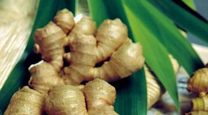 “Unlock Youthful Skin: A Kitchen Spice for Wrinkle Reduction”