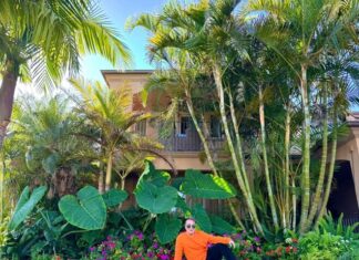 The Green Thumb’s Delight: How Đàm Vĩnh Hưng and Vân Trang Embrace Opulence and Fortune with Their Love for Trees