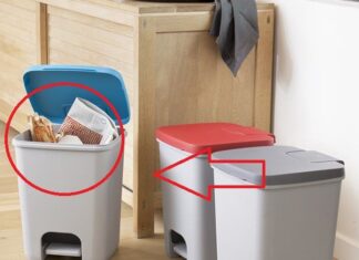 “Attract Wealth and Prosperity: The Art of Placement for Your Trash Bins”