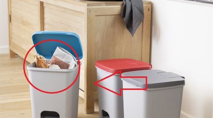 “Attract Wealth and Prosperity: The Art of Placement for Your Trash Bins”