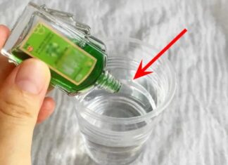 The Magic Potion: Unleashing the Power of Essential Oils and Vinegar