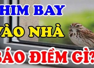 5 Auspicious Animals of Fu Lu Shou: Bringing Extreme Wealth to Any Household