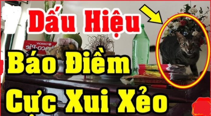 4 Ominous Signs in Your Home: Beware of the Misfortune They Bring