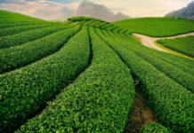 Where to Travel in September: A Guide to the Most Enticing Destinations