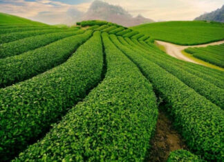 Where to Travel in September: A Guide to the Most Enticing Destinations