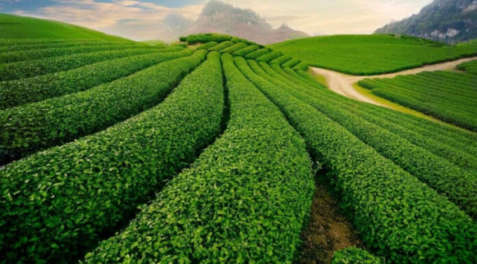 Where to Travel in September: A Guide to the Most Enticing Destinations