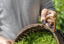 “Transform Your Everyday Rice: A Simple Twist for Extraordinary Flavor”