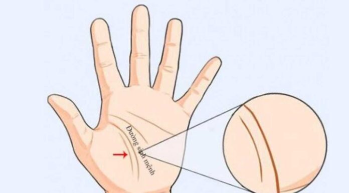 Unlocking the Secrets: The 3 Palm Lines That Reveal Your Destiny