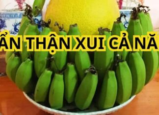 Is it Appropriate to Combine Two Bunches of Bananas for Ancestor Worship and Offering?