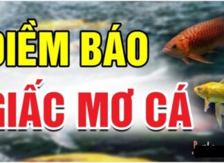 3 Dreams That Bring Good Fortune: Especially the 2nd One, Which Heralds Extreme Wealth