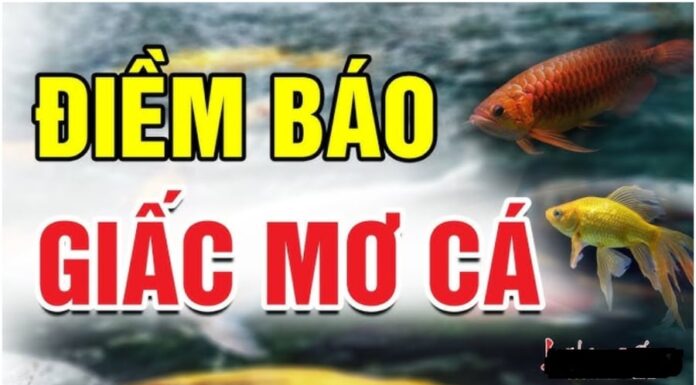 3 Dreams That Bring Good Fortune: Especially the 2nd One, Which Heralds Extreme Wealth