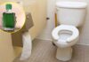 The Magic Potion for a Fresh and Fragrant Flush: A Few Drops of Essential Oil in Your Toilet Bowl