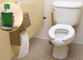 The Magic Potion for a Fresh and Fragrant Flush: A Few Drops of Essential Oil in Your Toilet Bowl