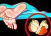 The Magic Onion: An Ancient Remedy for a Good Night’s Sleep
