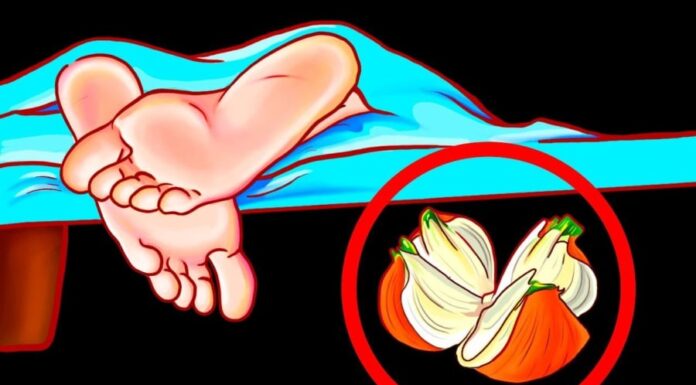 The Magic Onion: An Ancient Remedy for a Good Night’s Sleep