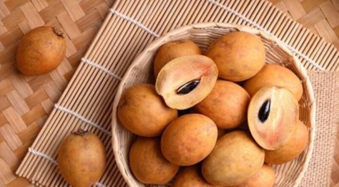 5 Super Fruits Rich in Protein and Good for High Cholesterol