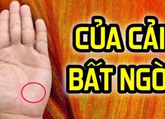 The Fortune Teller’s Revelation: Palmistry Trumps Face Reading – Uncover the 4 Traits That Guarantee Wealth Through 3 Lifetimes