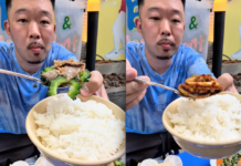 “Japanese Tourist ‘Winces’ at Vietnamese Meal, Claims It ‘Exceeded’ One Thing Allowed—A Hilarious Tale Unveiled”