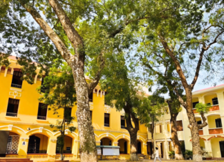 The Century-Old School in Hanoi: Where Standards Soar and Alumni Shine.