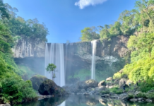 Unveiling the Muse of the Tay Nguyen Highlands: A Trekker’s Paradise