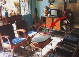 The 3 Items That Bring Bad Luck If Placed on a Coffee Table: Unveiling the Mystery