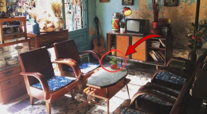 The 3 Items That Bring Bad Luck If Placed on a Coffee Table: Unveiling the Mystery