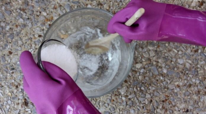 The Secret to a Pest-Free Home: How Soap and Sugar Can Keep Roaches at Bay