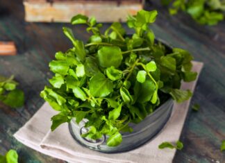 The Ultimate Superfood: Grow Once, Eat for a Decade