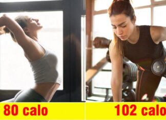 What’s the Difference Between Yoga and Gym Workouts? Who Loses Weight Faster and Achieves a More Beautiful, Youthful Body?