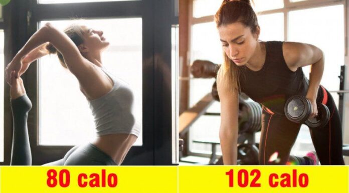 What’s the Difference Between Yoga and Gym Workouts? Who Loses Weight Faster and Achieves a More Beautiful, Youthful Body?