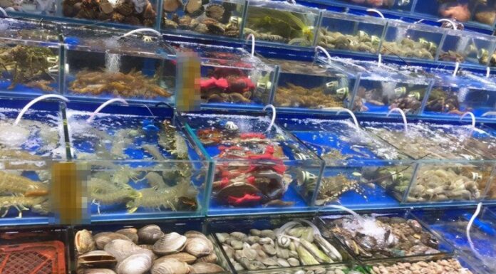 “Be Wary of These Four Seafood Shopping Scams: A Guide to Becoming an Expert”