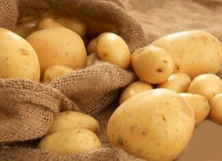 “The Ultimate Weight Loss Hack: Chilled Potato Salad”