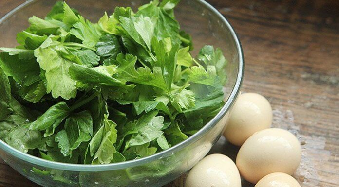 “Not Just Beef: This Leaf Stir-Fried with Eggs is Delicious and Super Nutritious”