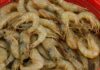 5 Types of Shrimp You Should Never Buy: Cheap but Full of Diseases, Harming Your Health Instead