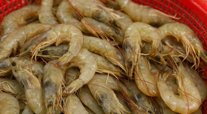 5 Types of Shrimp You Should Never Buy: Cheap but Full of Diseases, Harming Your Health Instead