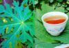 What Ailments Can Papaya Leaf Juice Treat?