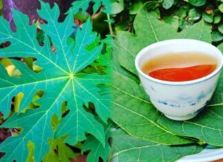 What Ailments Can Papaya Leaf Juice Treat?