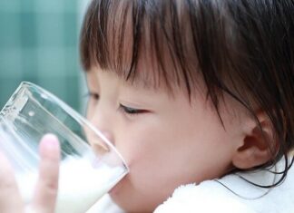 “Lactoferrin and IgG: The Dynamic Duo of Immune-Boosting Power for Your Child’s Daily Diet.”