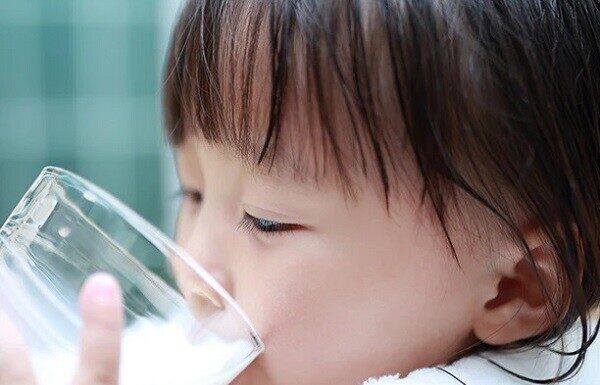 “Lactoferrin and IgG: The Dynamic Duo of Immune-Boosting Power for Your Child’s Daily Diet.”