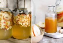 The Ultimate Guide to Homemade Apple Cider Vinegar: Delicious, Affordable, and Safe