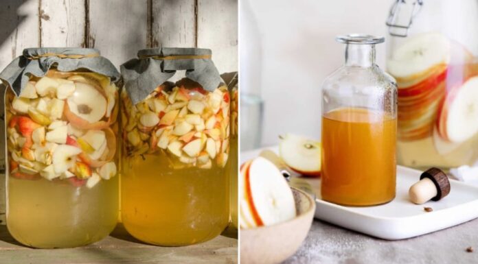 The Ultimate Guide to Homemade Apple Cider Vinegar: Delicious, Affordable, and Safe