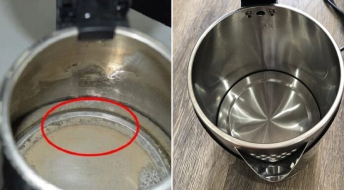 The Ultimate Guide to Descaling Your Kettle: Transform it from a Calcified Mess to Sparkling Clean with this Simple Hack