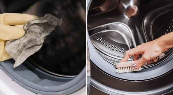 Rubber Gasket Mold: A Simple Solution for a Sparkling Clean Washer